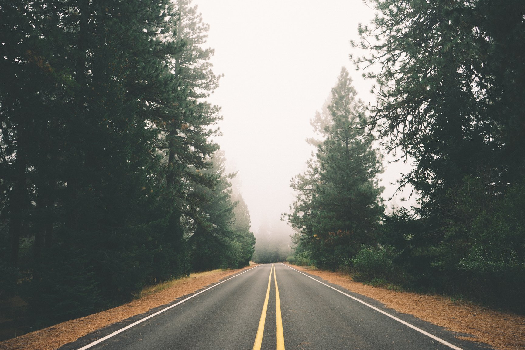 Empty Road Pavement Photography